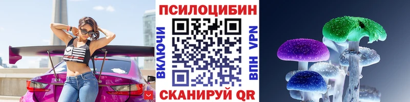 Купить закладки  Нюрба  Галлюциногенные грибы прущие грибы 