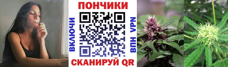 Конопля индика Купить закладки Нюрба